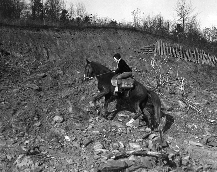The Intrepid Female Pack Horse Librarians The Meticulous Type
